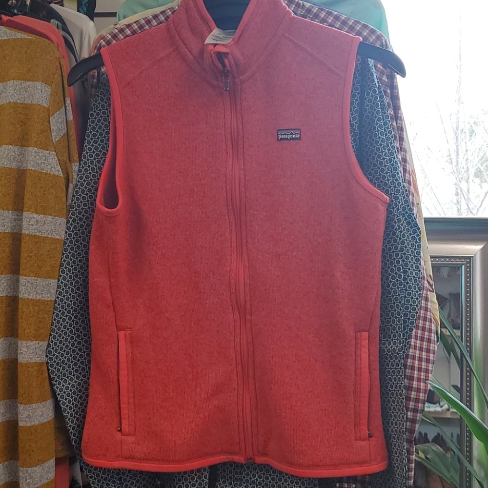 Patagonia Women's vest